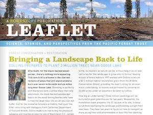 LEAFLET, Spring 2015