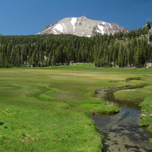 Wet Meadow Steve L. Pierce