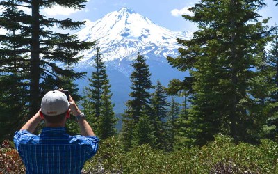 Working Forest Conservation Easements 101