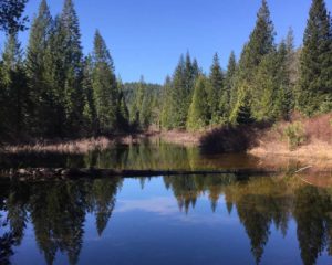 McCloud-Dogwood-Butte-Pool