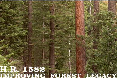 Bipartisan House Bill Seeks to Make Forest Legacy More Nimble 