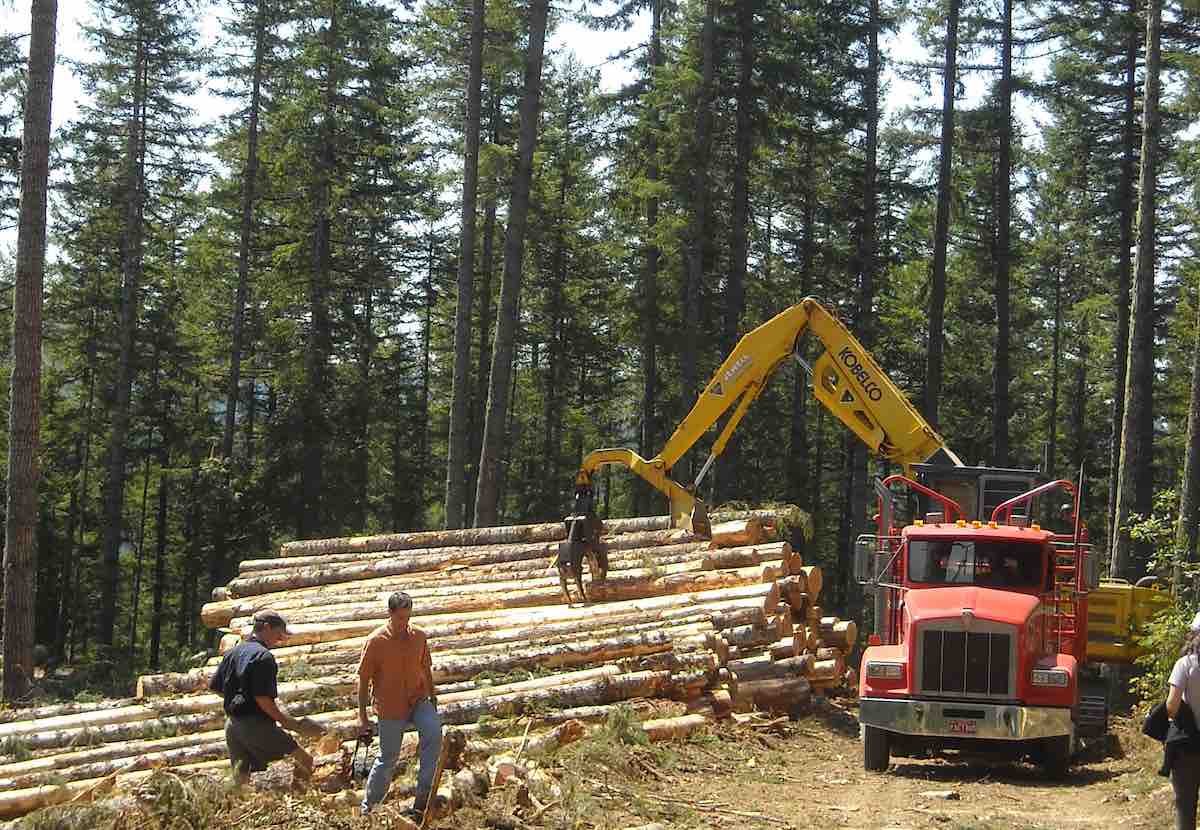 Van Eck OR timber harvest - Pacific Forest Trust