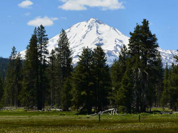 Historic Ranch Conserved to Protect Water Sources and a Family’s Heritage