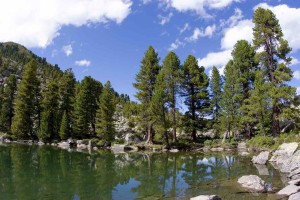 Forest_Watershed_Clouds