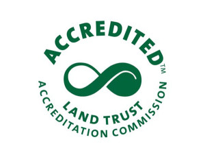 accreditation