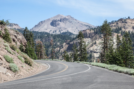 Wildfires, Drought, and Climate Change: Impact on Tree Mortality