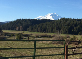 Shasta-Area Conservation Expands