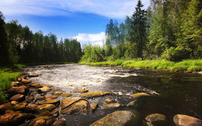 Overflowing Support for Healthy Watersheds