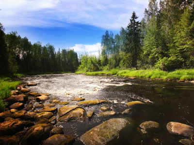 Overflowing Support for Healthy Watersheds