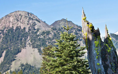 Conserving a Working Forest on Black Butte’s Iconic Landscape