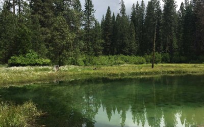 Op Ed: Watershed conservation key to solving California’s water problems