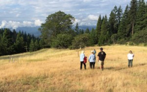 Mountcrest Working Forest Overlook