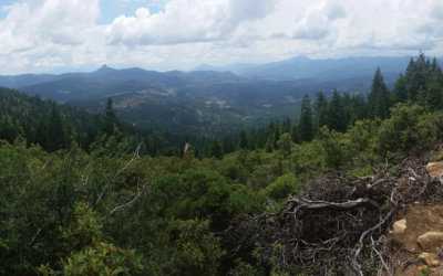 Restoring carbon rich, climate resilient forests across the west coast