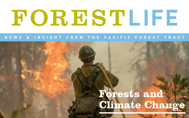 ForestLife Summer 2018: PFT news & insight