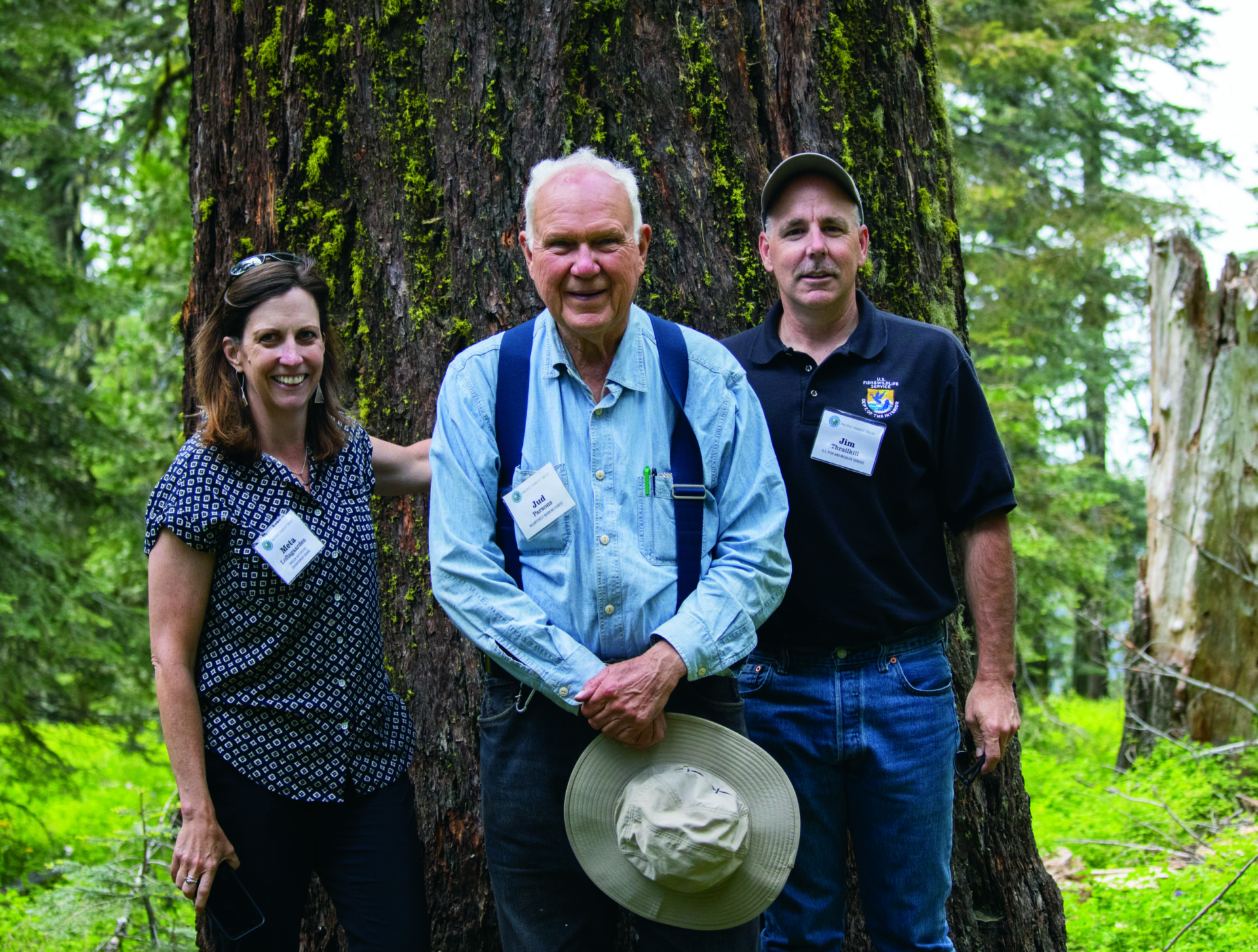 A First For Oregon: Mountcrest Working Forest Conserved - Pacific 