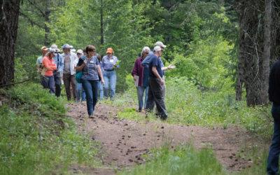 A first for Oregon: Mountcrest Working Forest conserved