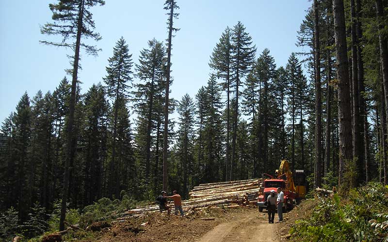 Farm bill signed into law—it helps forests, too