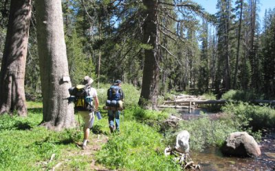 Happy Earth Day from Pacific Forest Trust