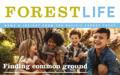 ForestLife Summer 2019