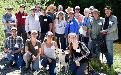 Forest Flash December 2019: Working Forest Conservation Easements work!