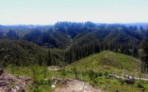 Elliott State Forest, Oregon