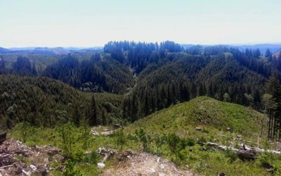 Taking action to protect Elliott State Forest