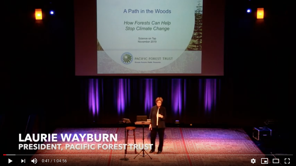 Science on Tap with Laurie Wayburn: Forests and Climate