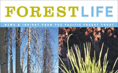 ForestLife Spring 2020