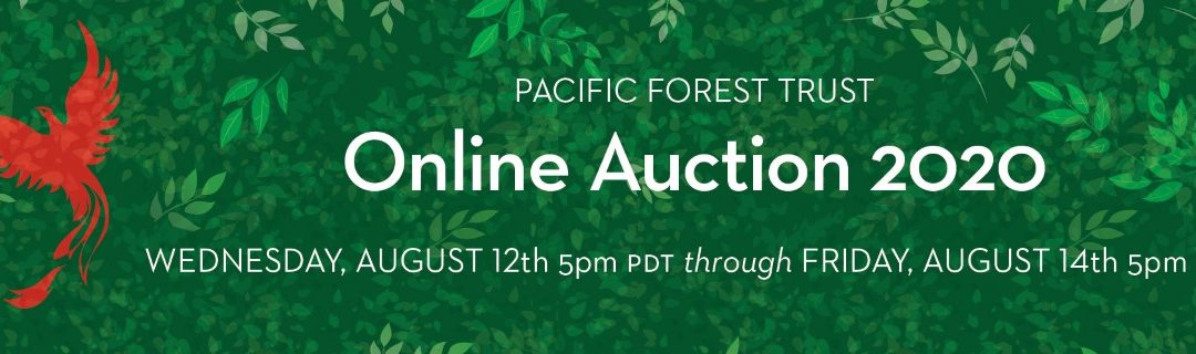 Online Auction 2020