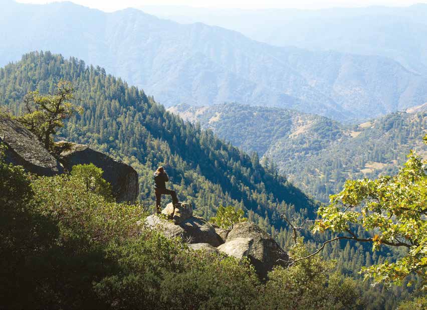 Rising from the ashes: restoration at Yosemite