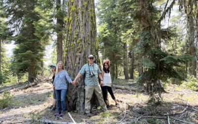 Conserving Mount Ashland, Managing for Climate Resistance