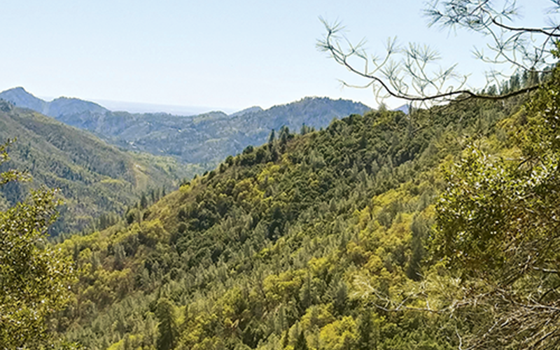 Lightning Canyon Ranch Conserved Forever