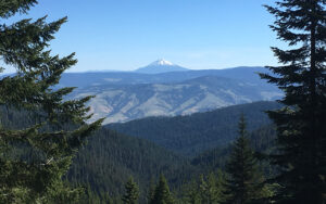 Mt Ashland 800x500 - Pacific Forest Trust