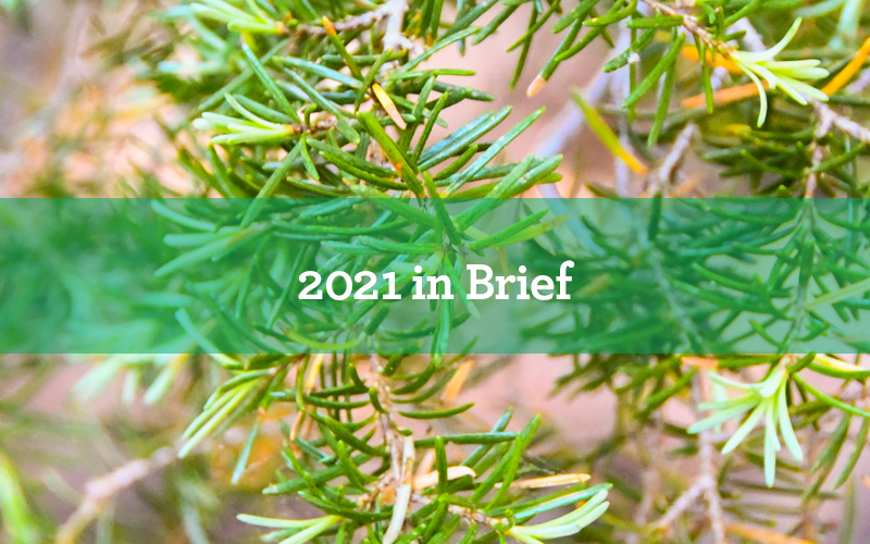 Annual Report 2021 Pacific Forest Trust 8934