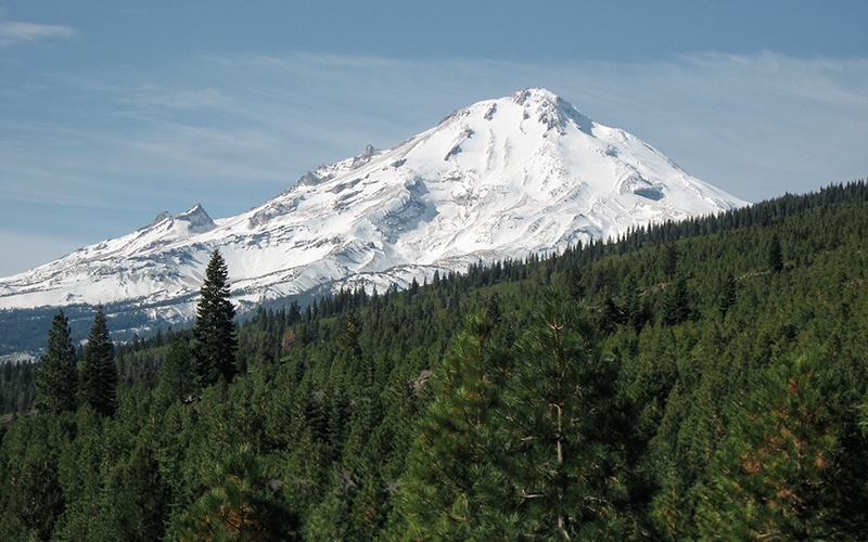 Going to Scale with Shasta Timberlands