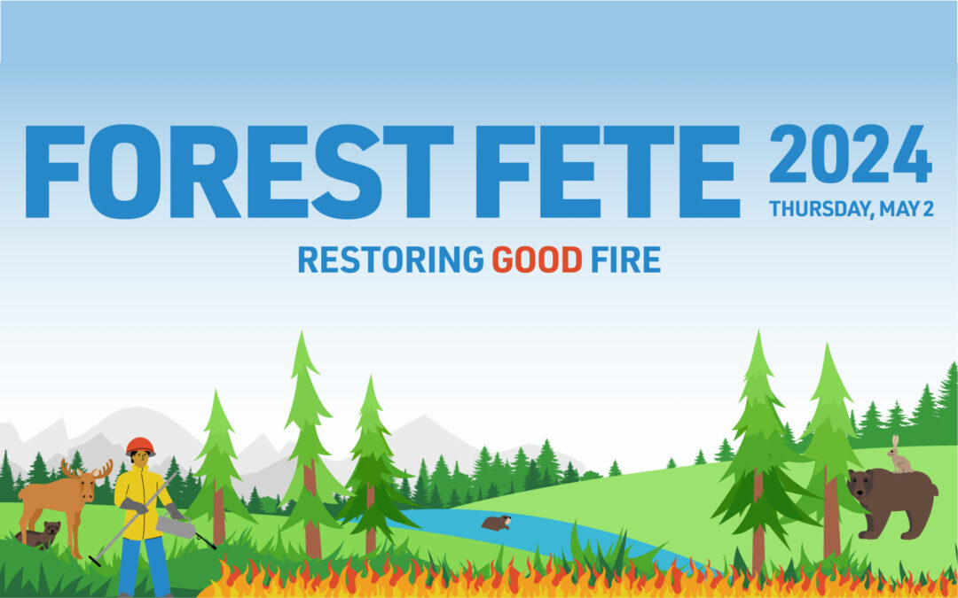 Forest Fete 2024