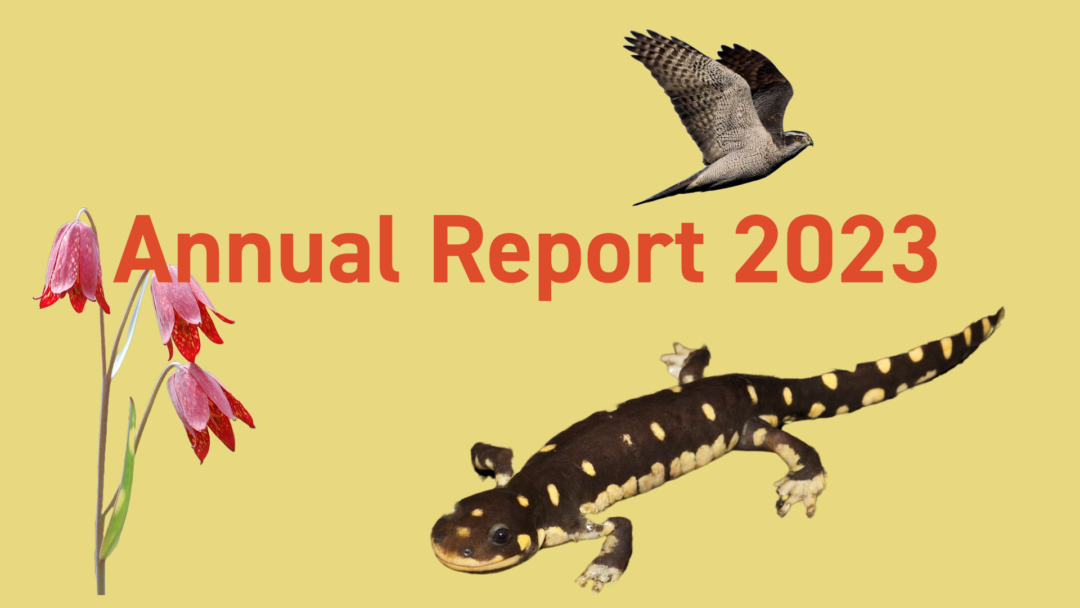 Annual Report 2023