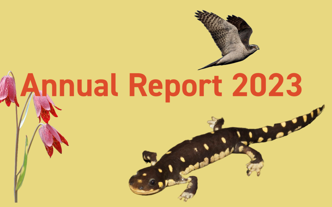 Annual Report 2023