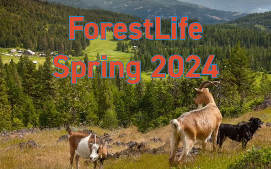 ForestLife: Spring 2024