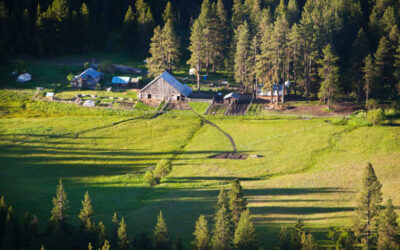 Heritage and Heart on the Willow-Witt Ranch