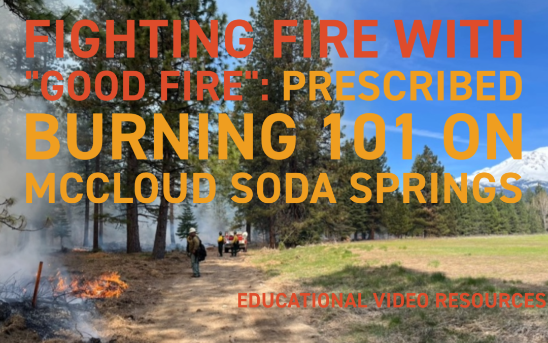 Fighting Fire with “Good Fire”: Prescribed Burning 101 on McCloud Soda Springs