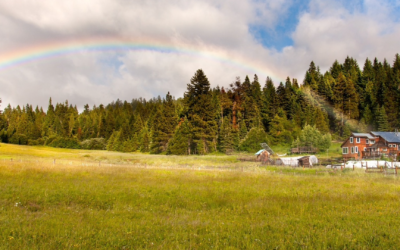 Willow-Witt Ranch