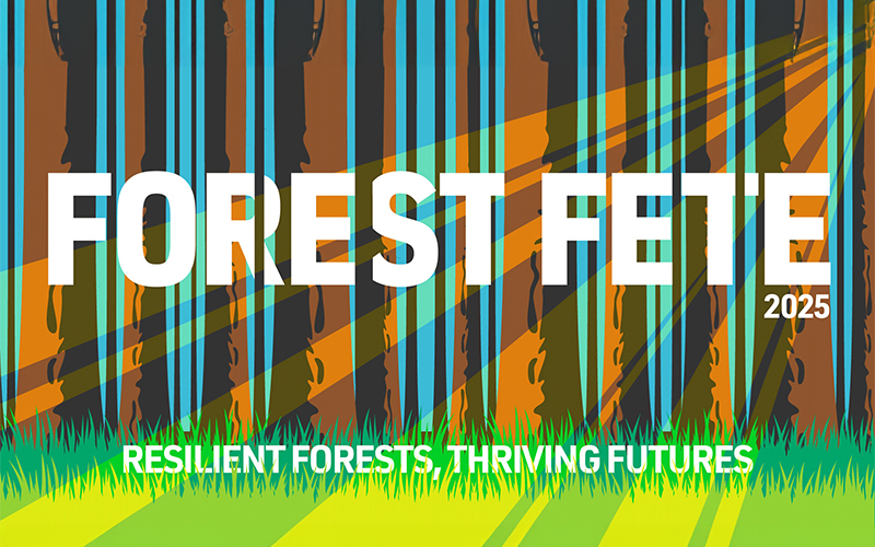 Forest Fete 2025