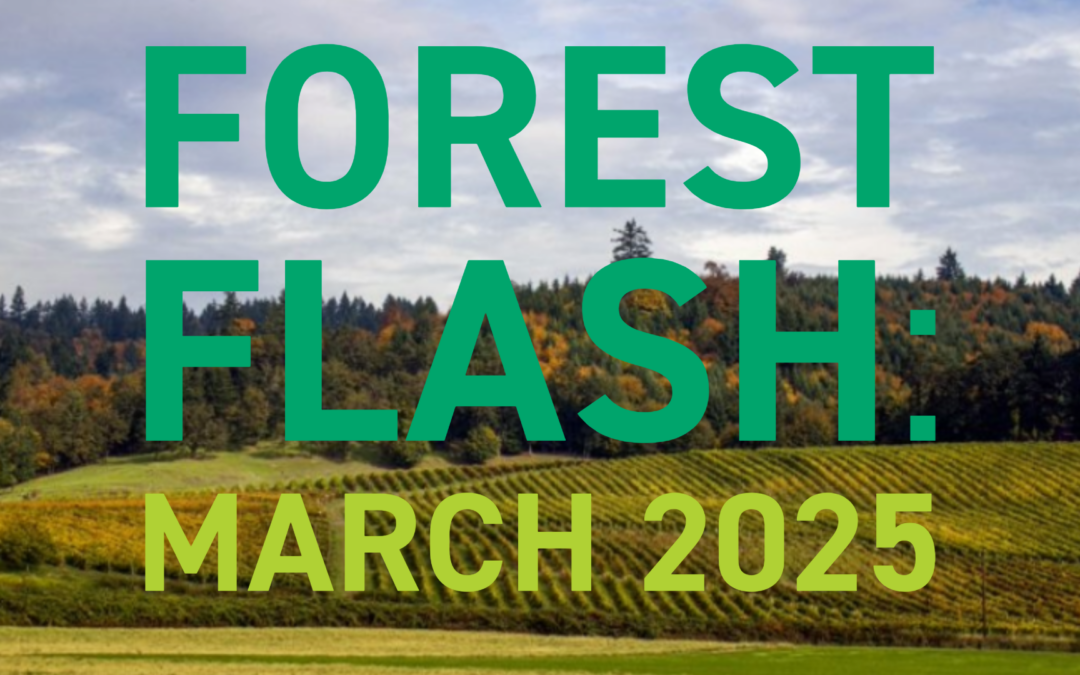 Forest Flash: March 2025
