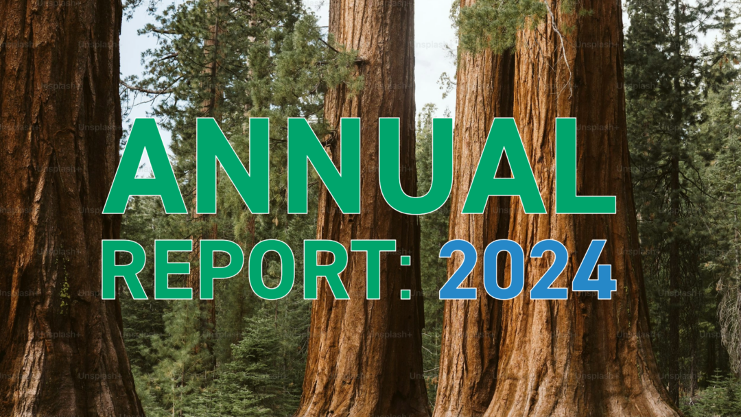 Annual Report 2024