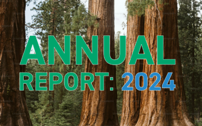 Annual Report 2024