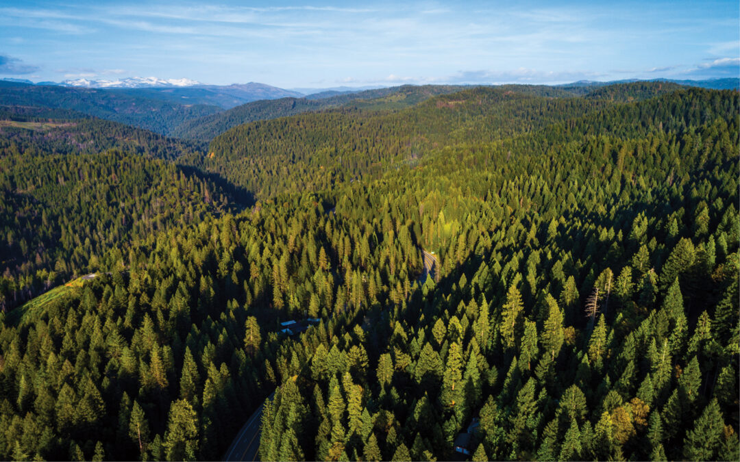States Embrace Natural Climate Solutions