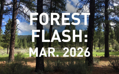 March 2026