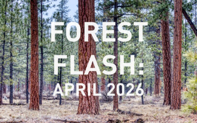 April 2026