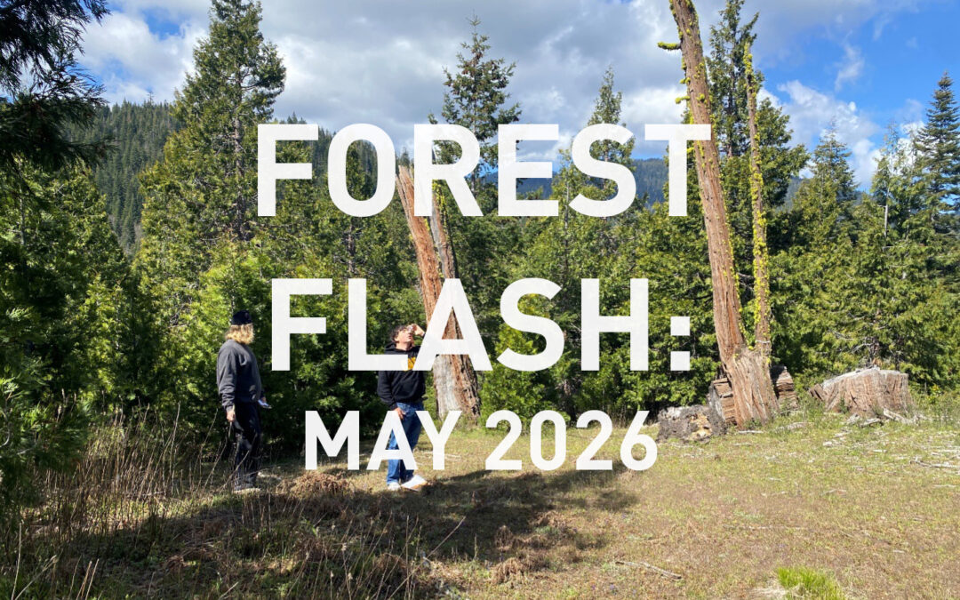 May 2026